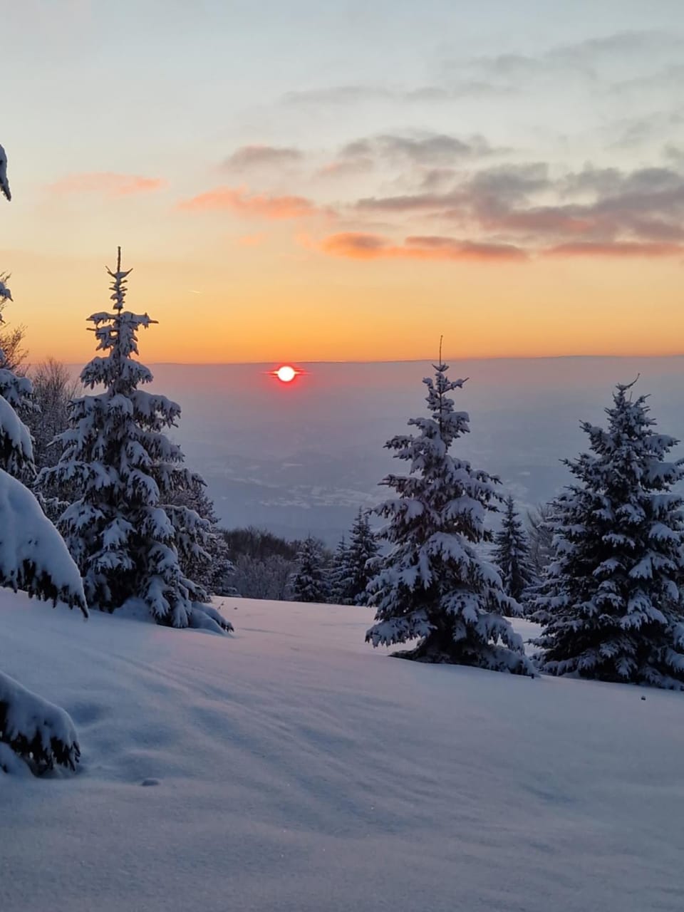 NOOK Kopaonik Luxury Apart & House Apartment in Serbia