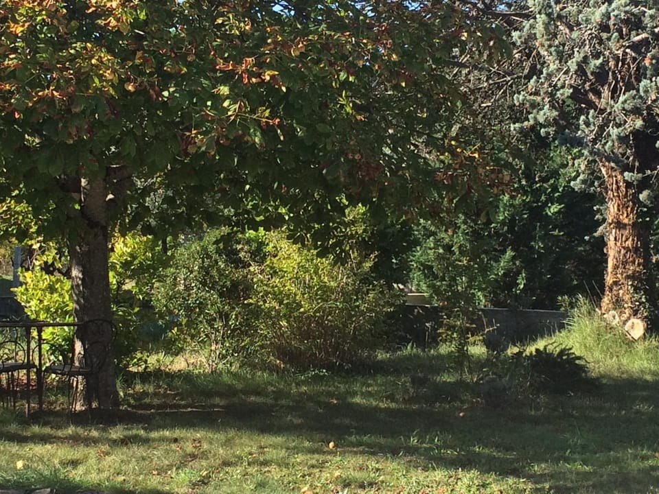 Natural landscape, Garden, Garden, Garden view