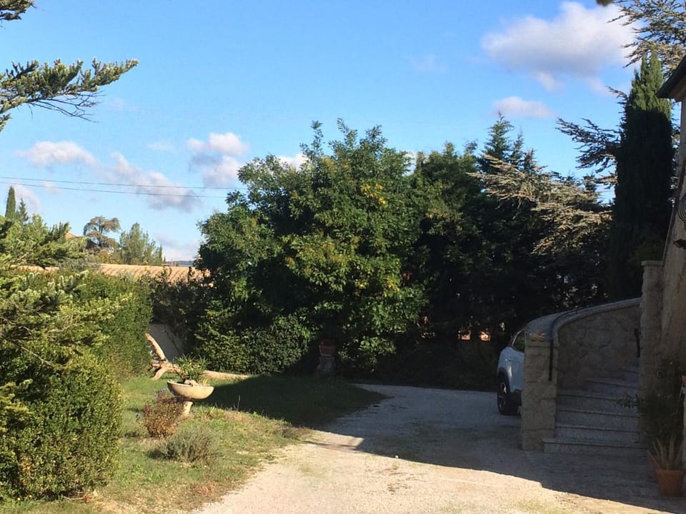 Day, Garden view