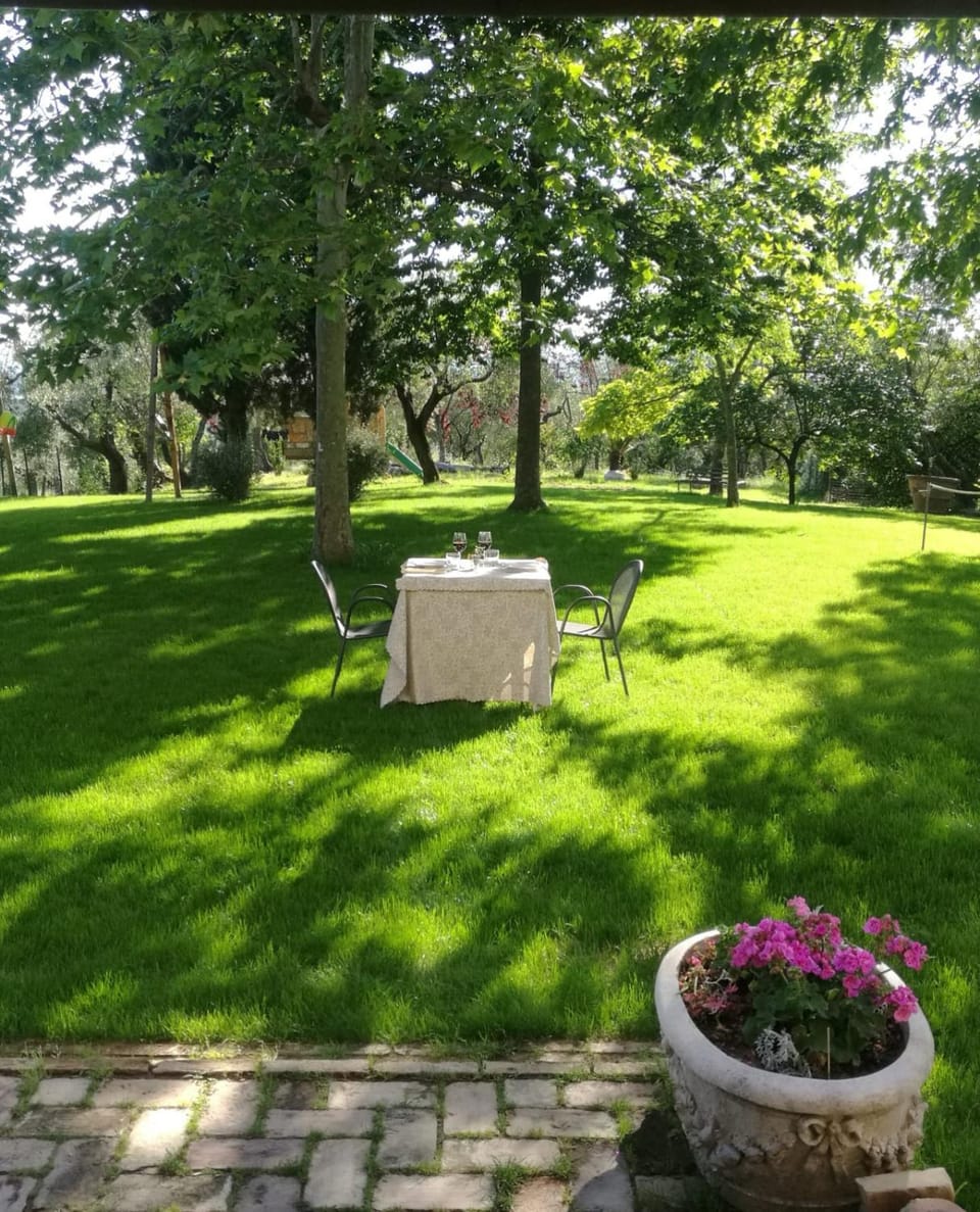Garden, Garden view