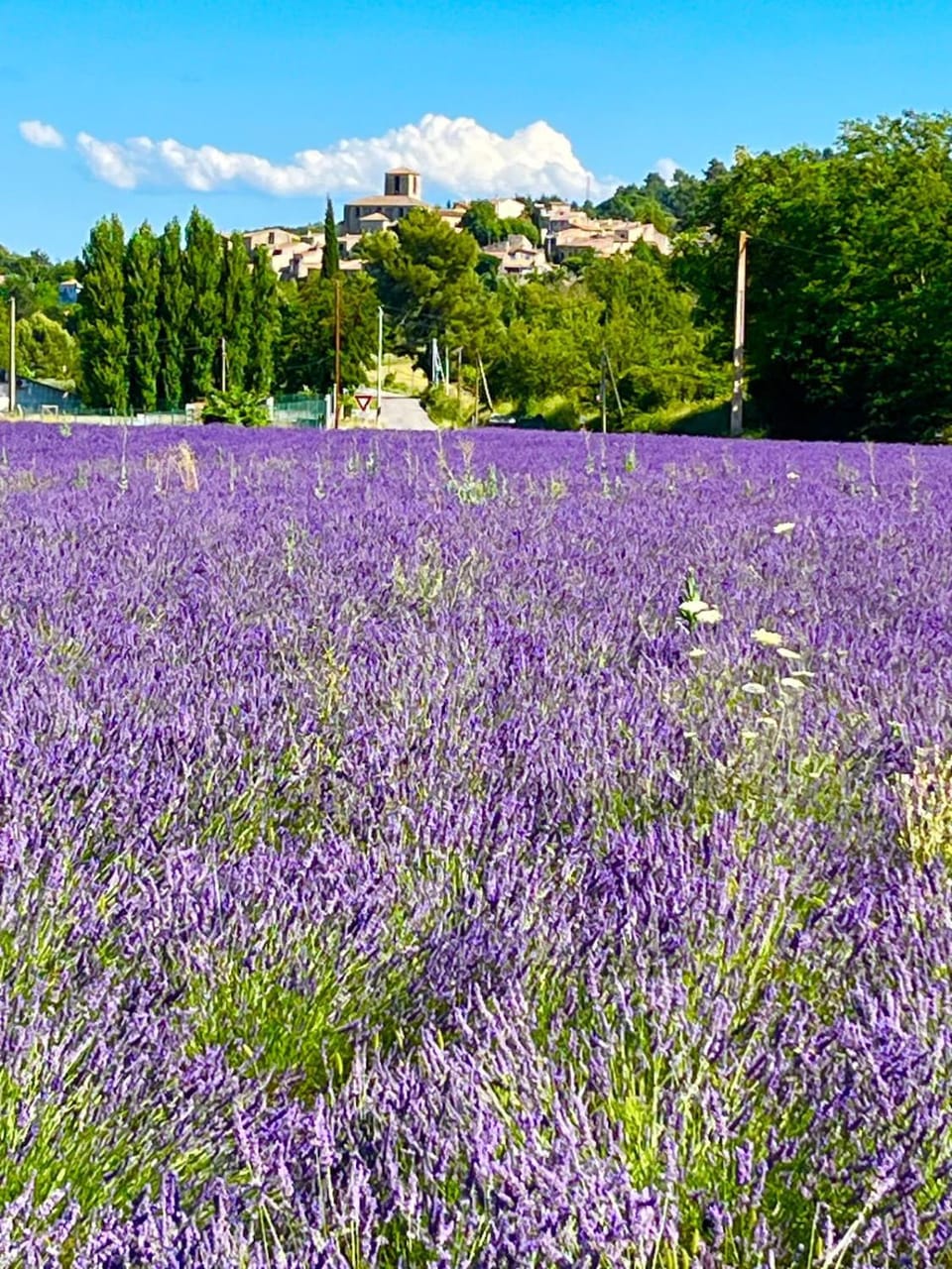 Natural landscape