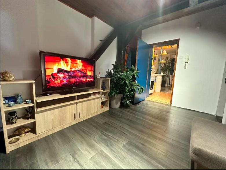 Huge Apartment 100sqm Apartment in Belgrade