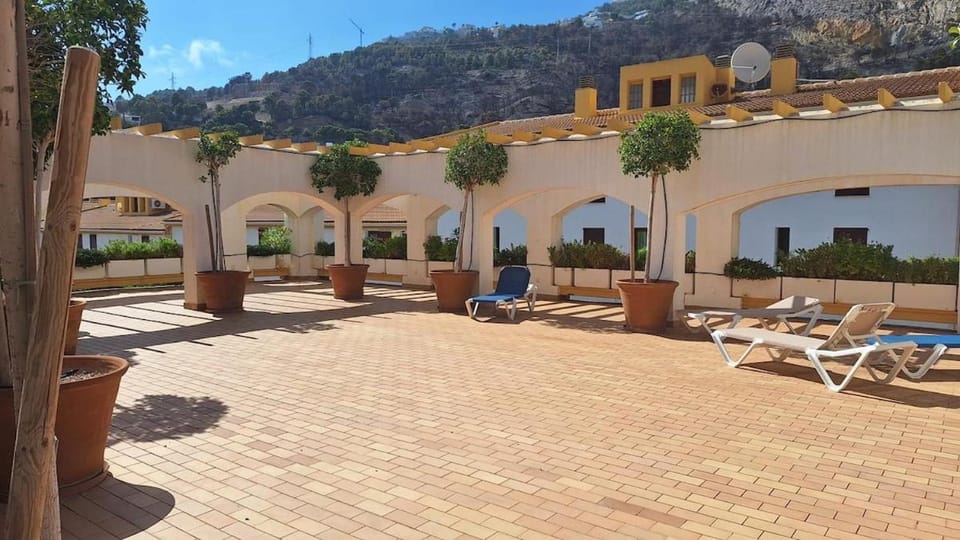 Garden, Solarium, sunbed
