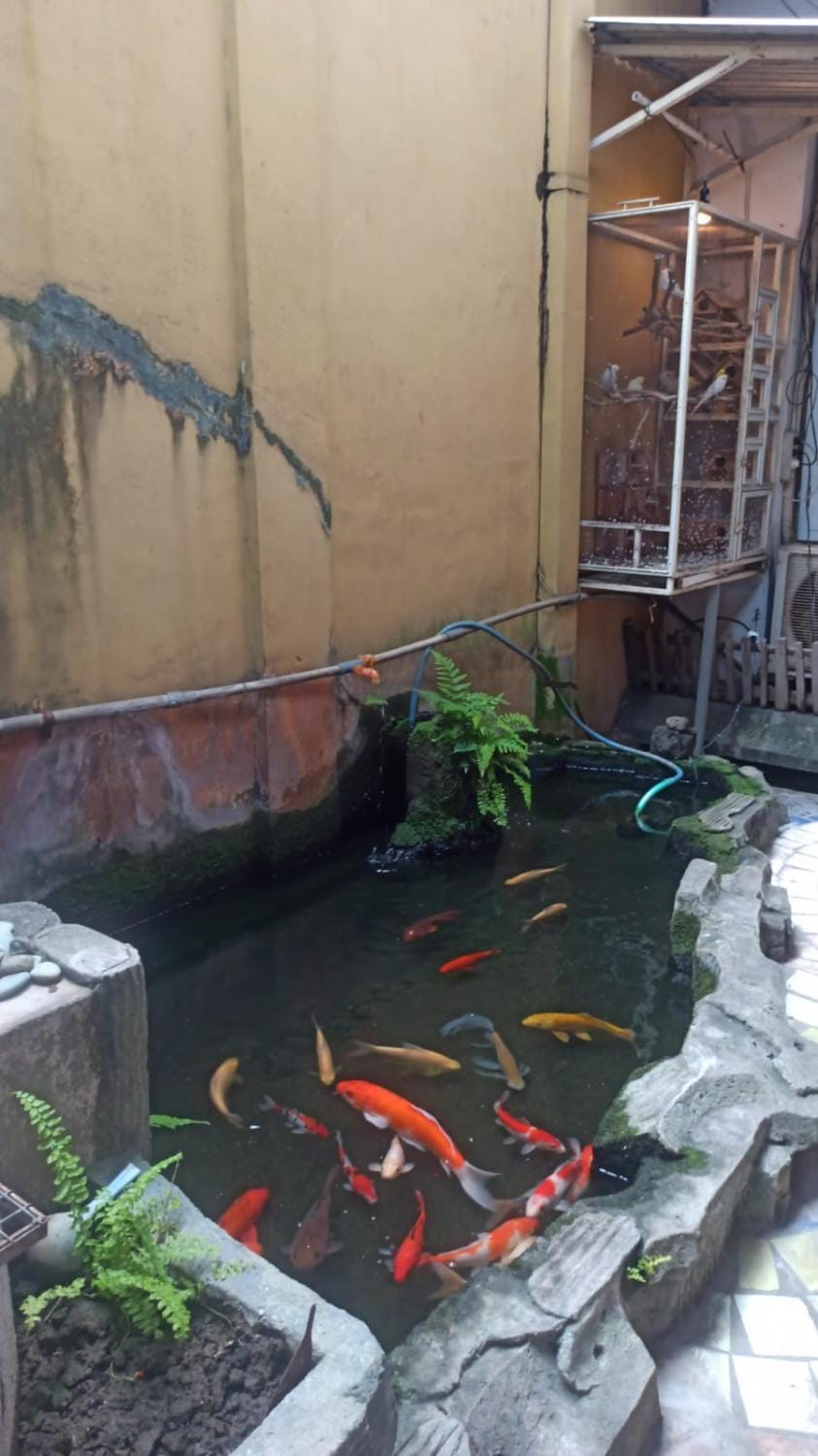 Kranggan Bethlehem Homestay Vacation rental in Yogyakarta