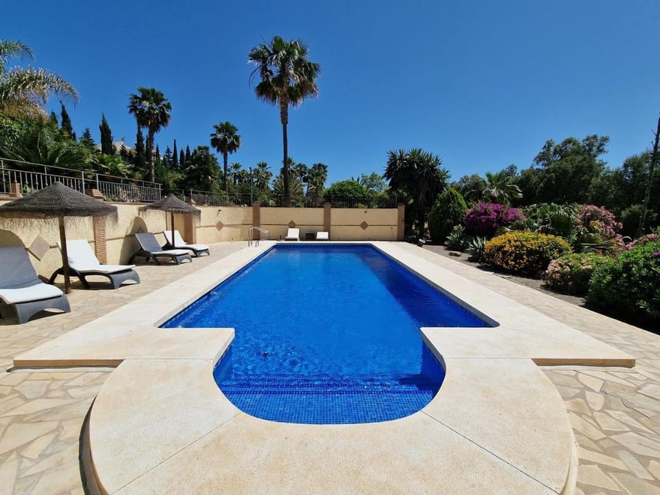 Garden, Garden view, Pool view, Swimming pool, sunbed