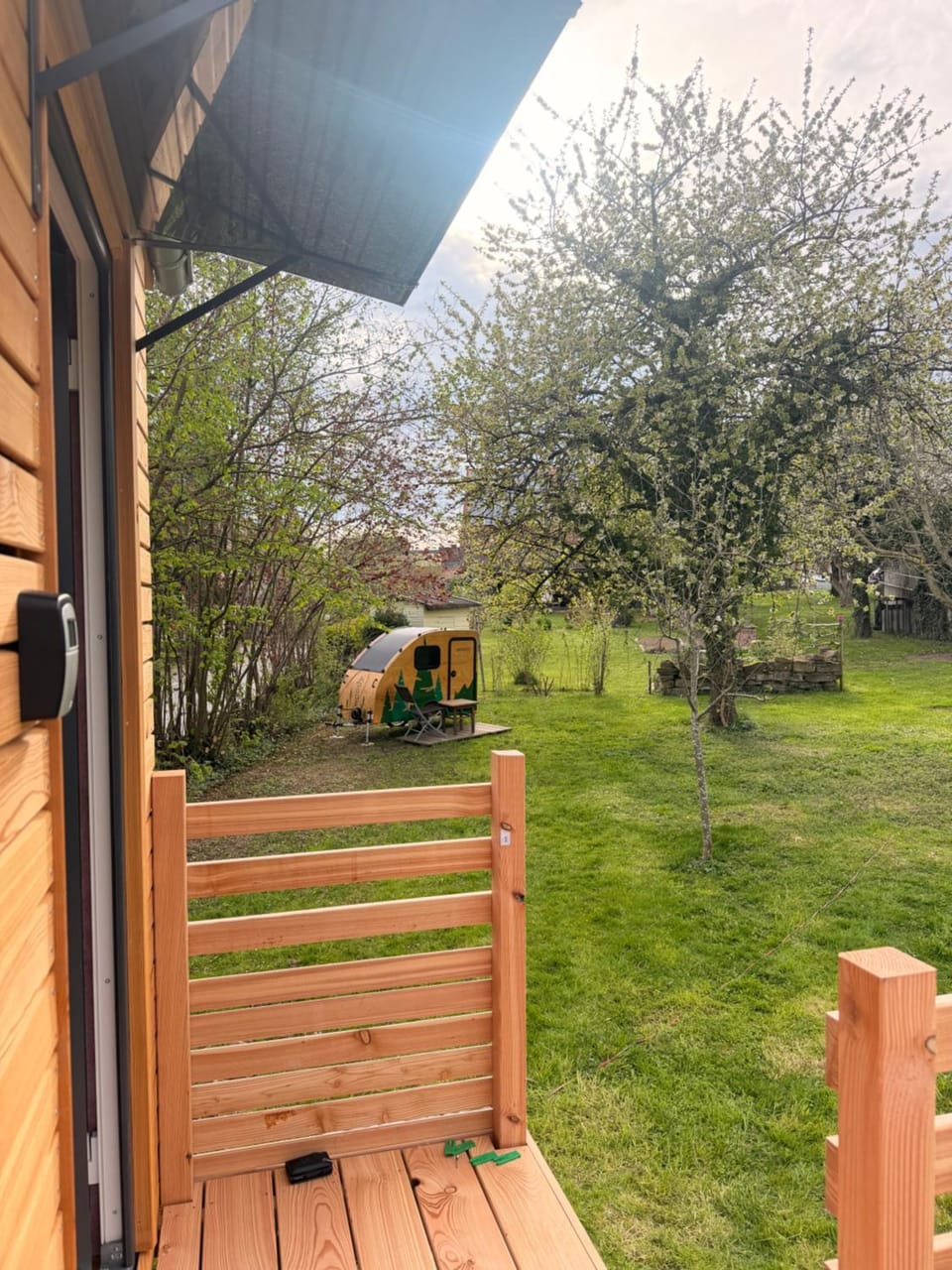 Day, Natural landscape, Garden, Garden view