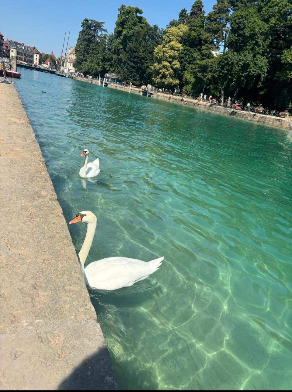 La maison du bonheur à Talloires Chalet in Menthon-Saint-Bernard