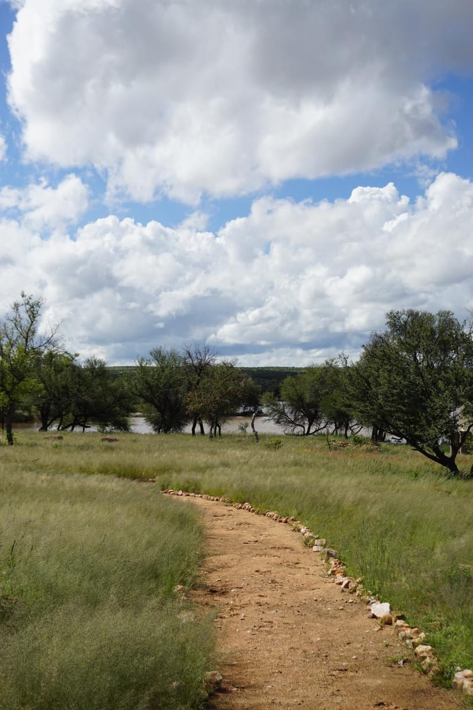 Farm Hohenheim Campground/ 
RV Resort in Khomas Region, Namibia