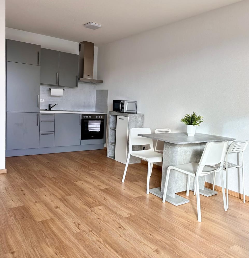 Komplett möblierte Wohnung zentrale Lage Offenburg Apartment in Offenburg