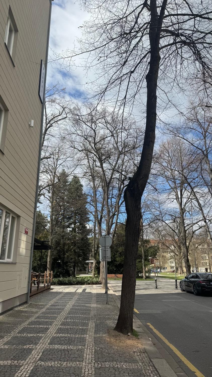 Spring, Day, Neighbourhood, Street view, Location, Parking