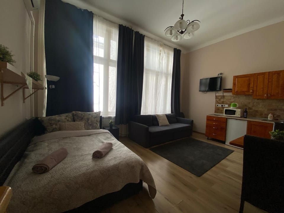 Bed, Kitchen or kitchenette, Living room, Photo of the whole room, Seating area, Bedroom