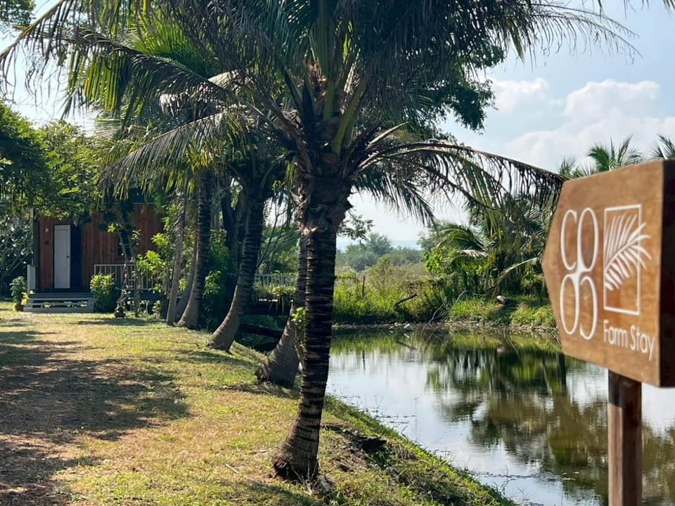 Coco farm stay Suanphueng House in Thailand