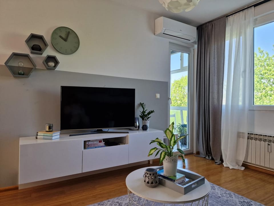 TV and multimedia
