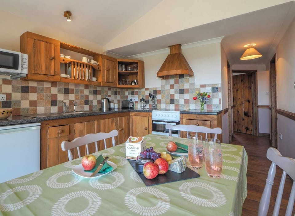 Kitchen or kitchenette, Dining area, microwave, oven, stove