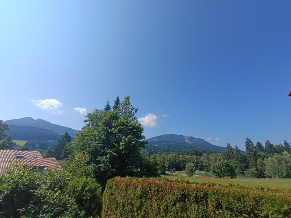 Ferienhaus im Feriendorf Reichenbach B17 House in Bavaria