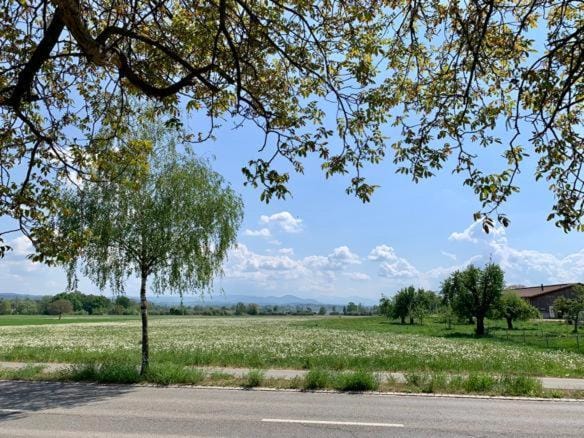 Natural landscape