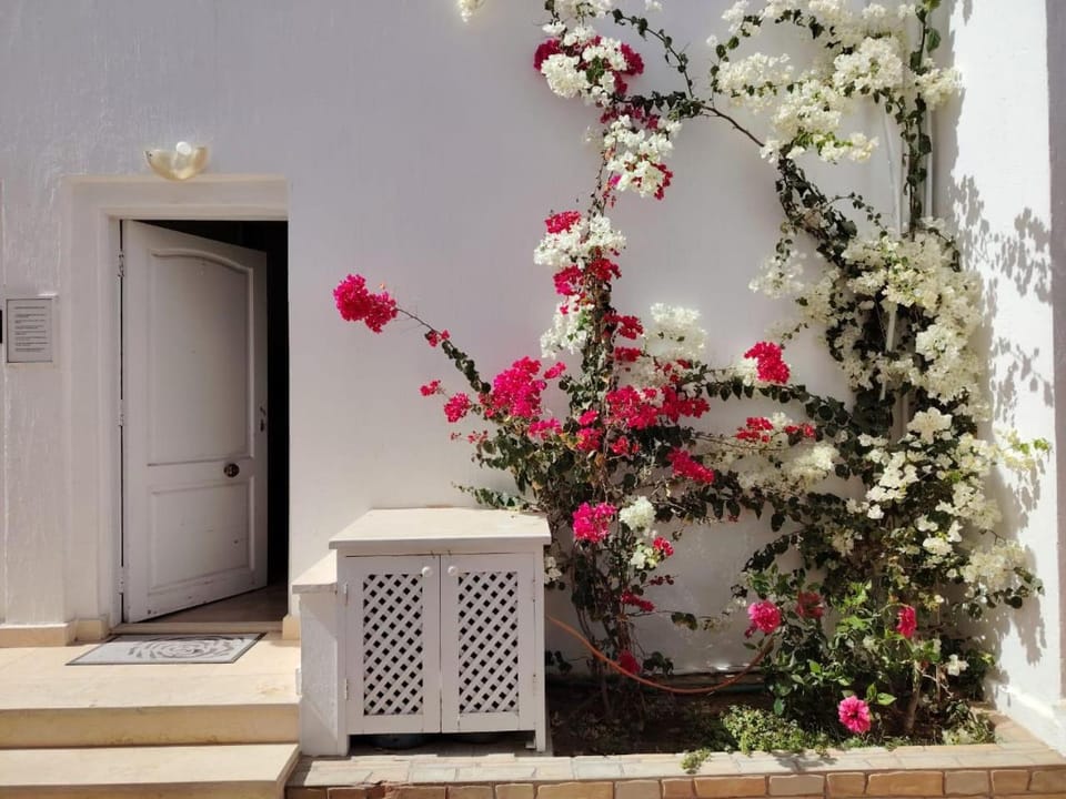 Gardenia House Bed and Breakfast in South Sinai Governorate