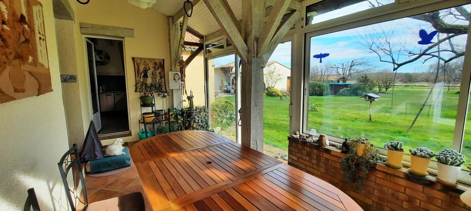 Patio, Seating area, Garden view