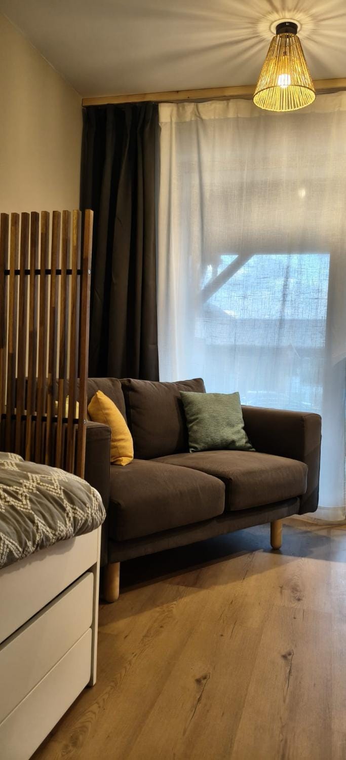 Bed, Living room, Photo of the whole room, Seating area, Bedroom