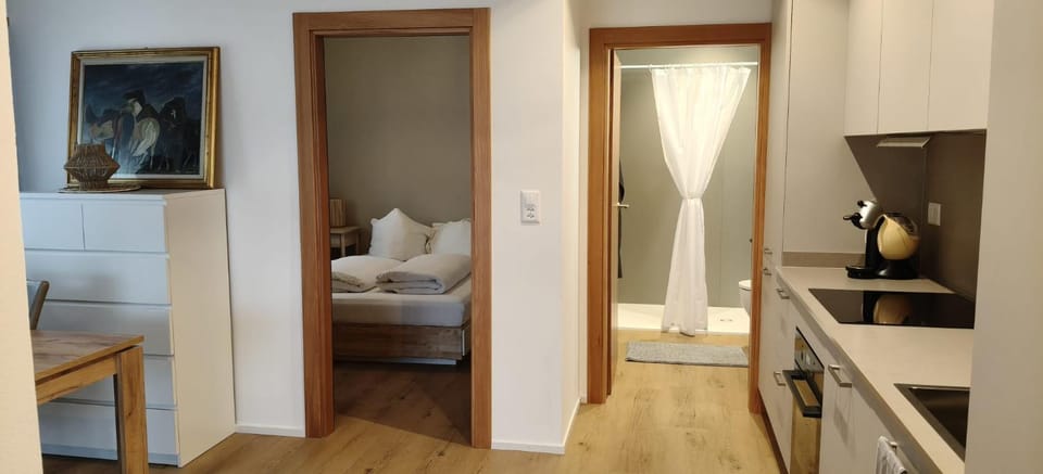 Bed, Kitchen or kitchenette, Living room, Photo of the whole room, Seating area, Bedroom