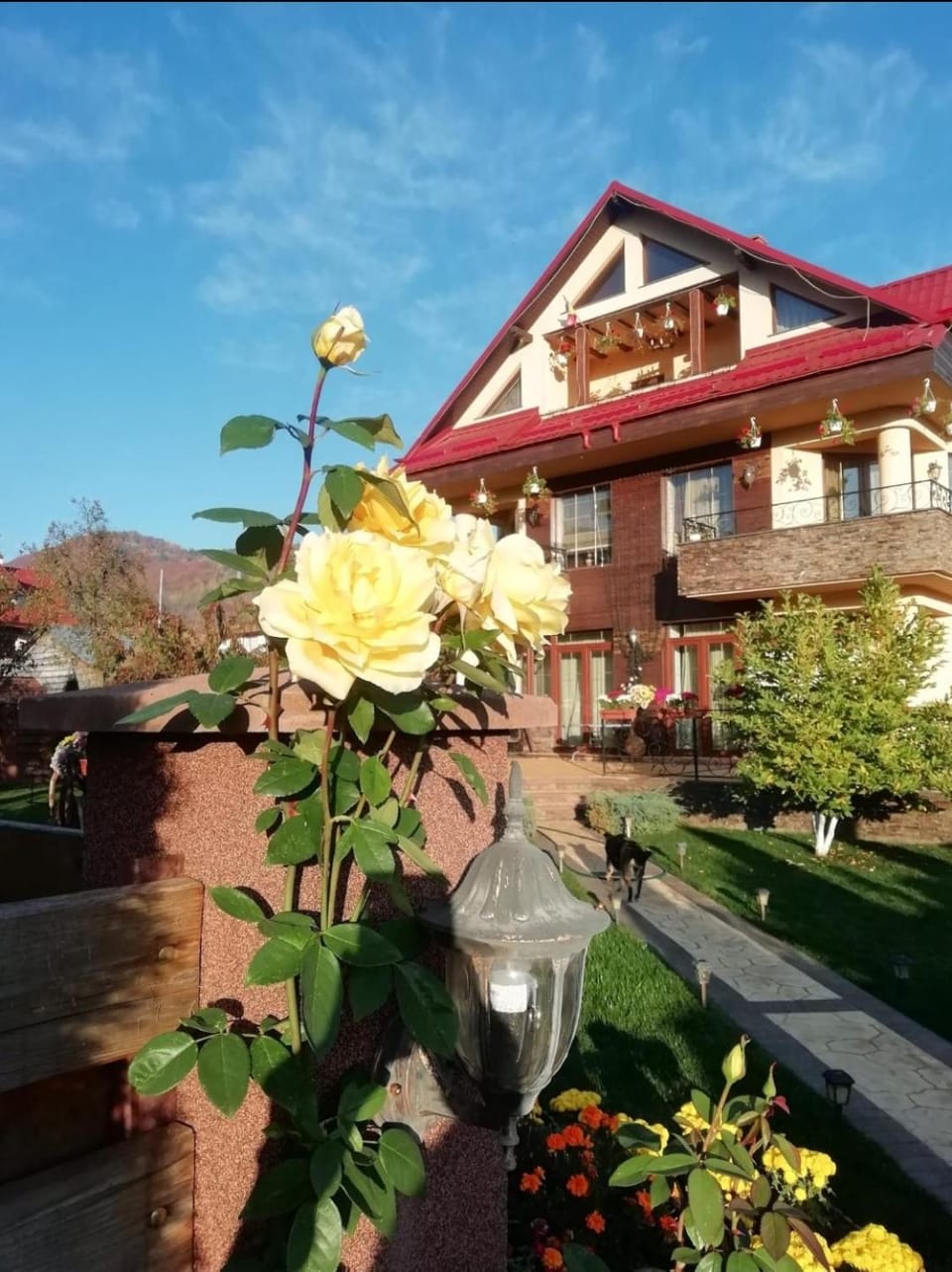 Property building, Spring, Day, Garden, Garden view