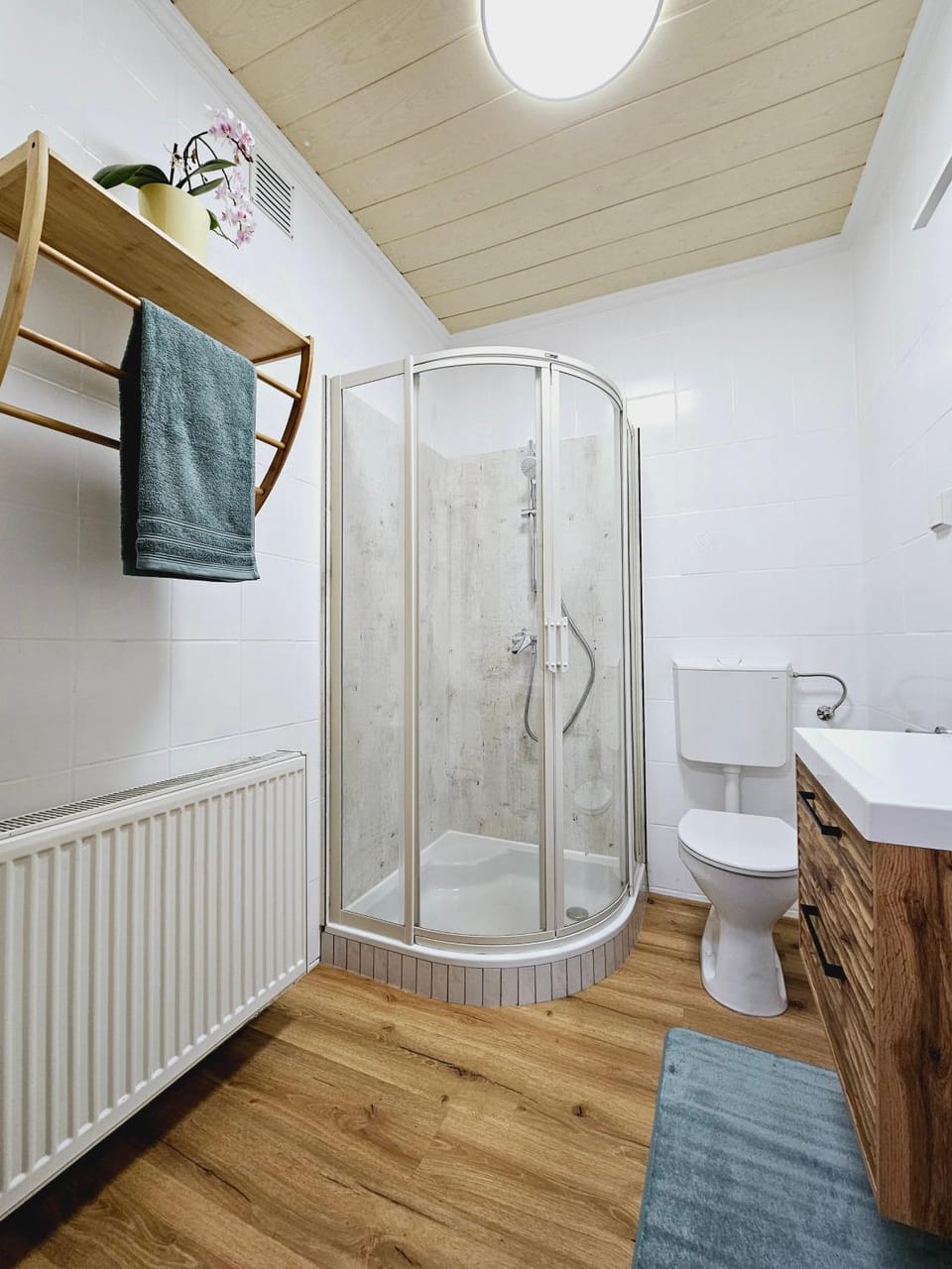 Bathroom, Living room