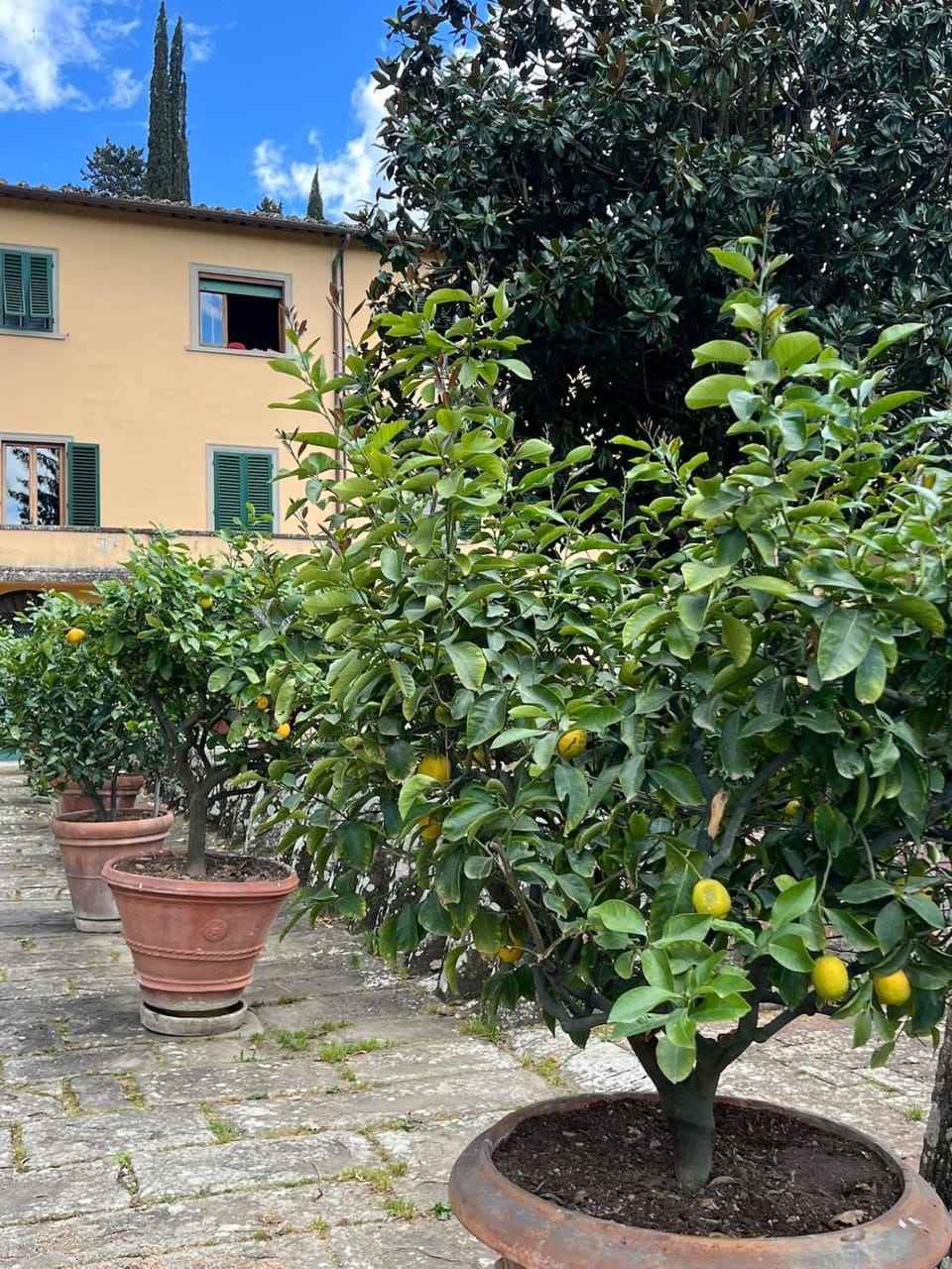 Property building, Garden