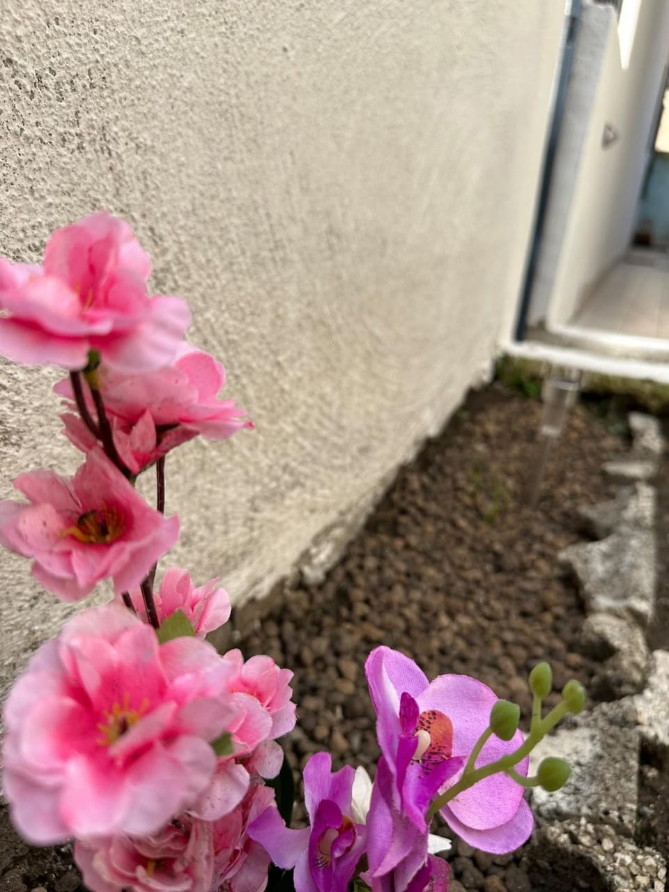Spring, Garden, Garden, Garden view