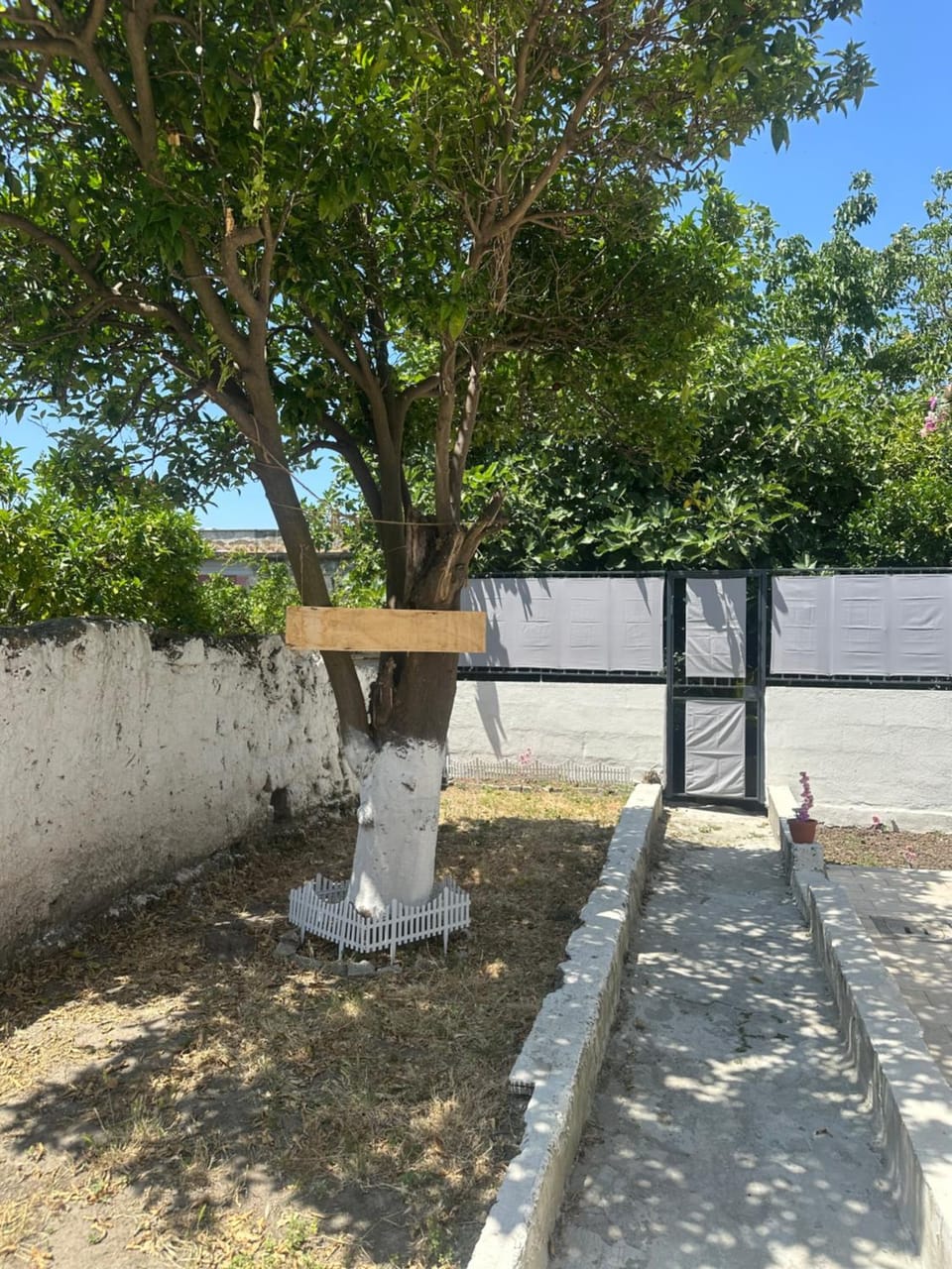 Spring, Day, Garden, Garden view