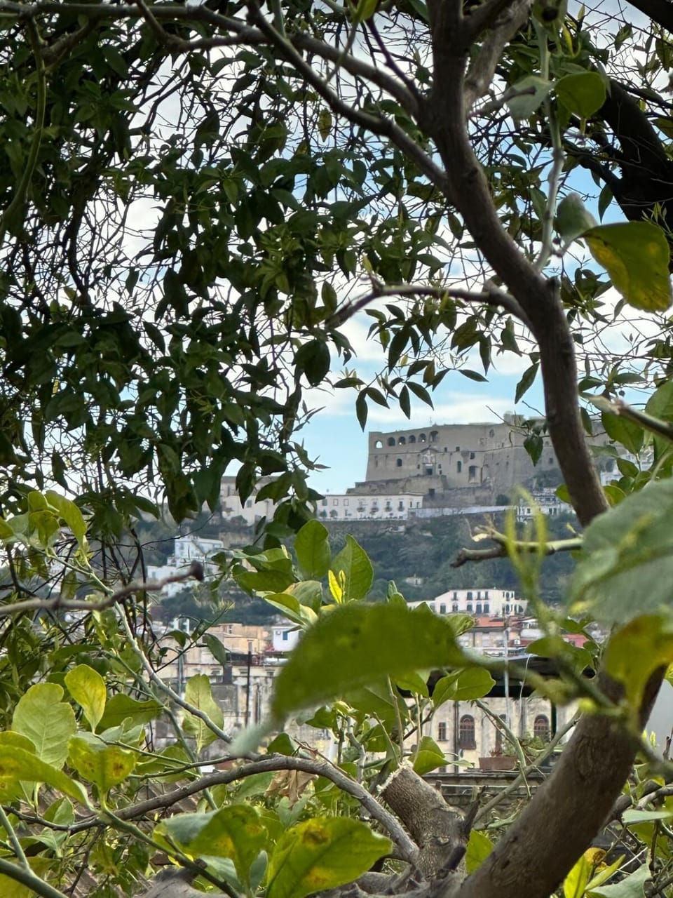 Nearby landmark, Day, Garden, City view