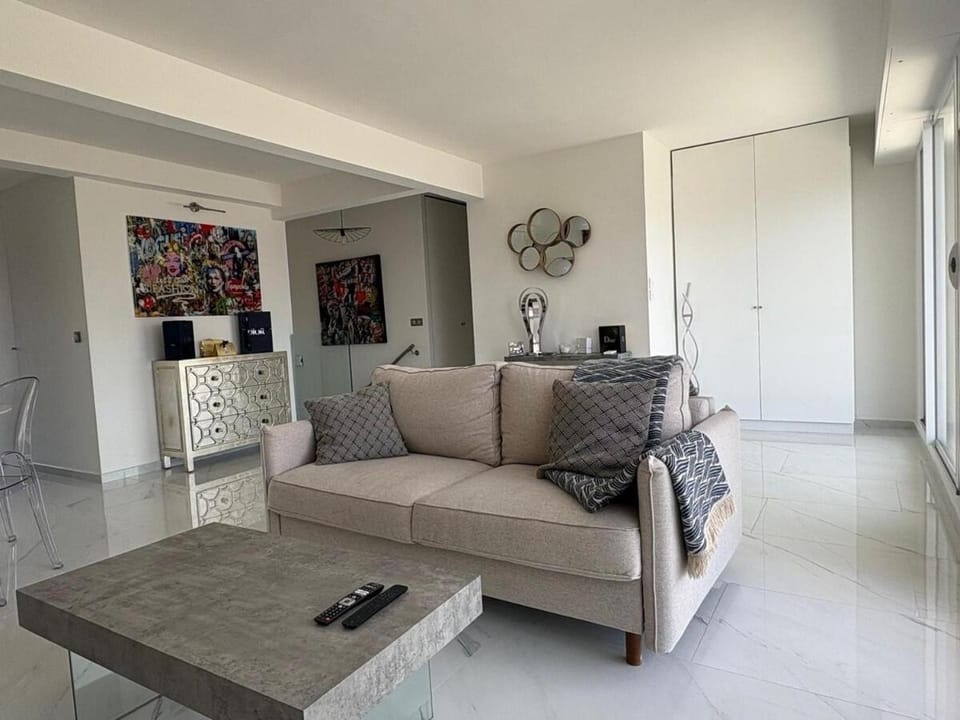 Cannes 2 suites 2 terrasses Apartment in Cannes