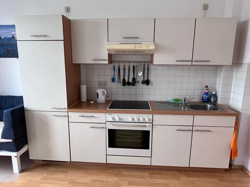 helle 1Raum Wohnung Apartment mit Balkon und Küche Apartment in Dresden