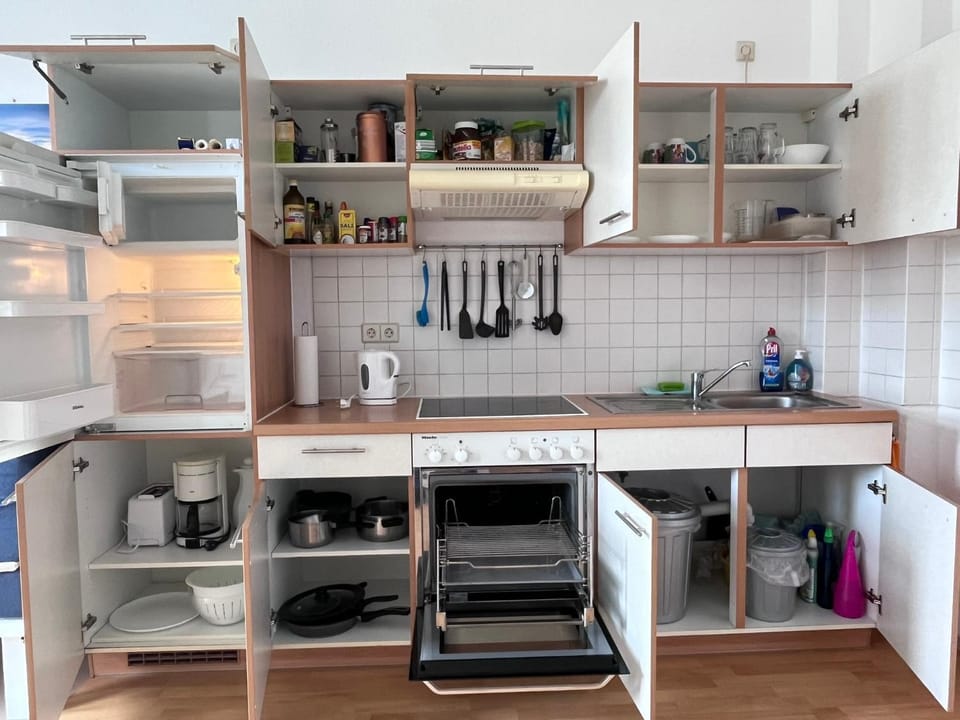 helle 1Raum Wohnung Apartment mit Balkon und Küche Apartment in Dresden