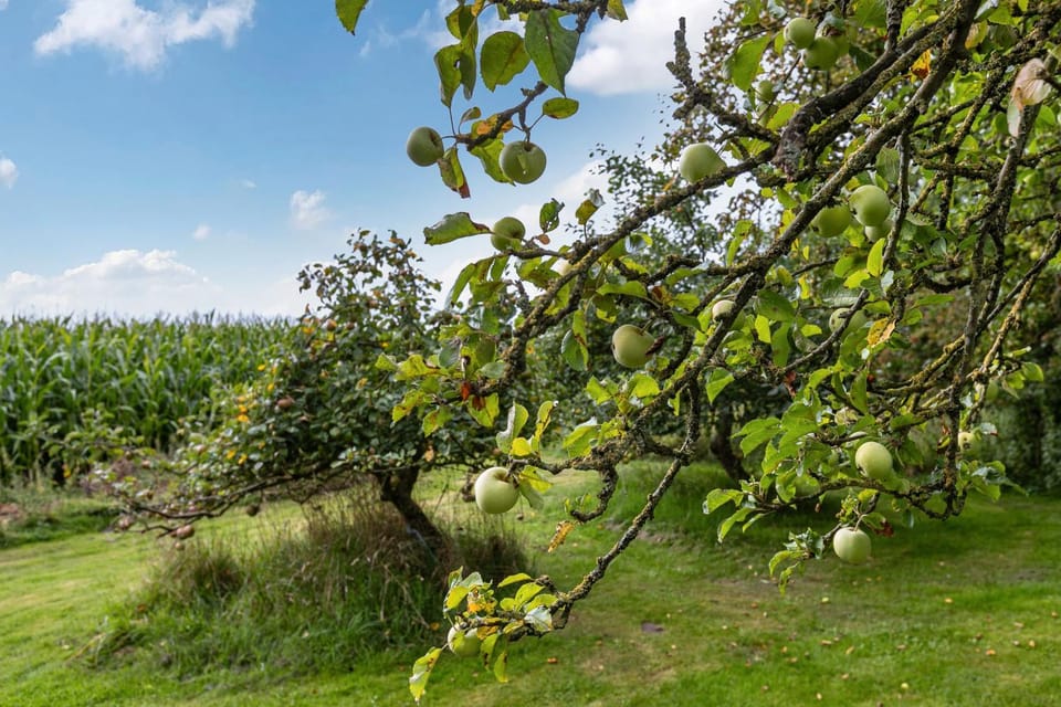 Thormählenhof Apartment in Nordstrand