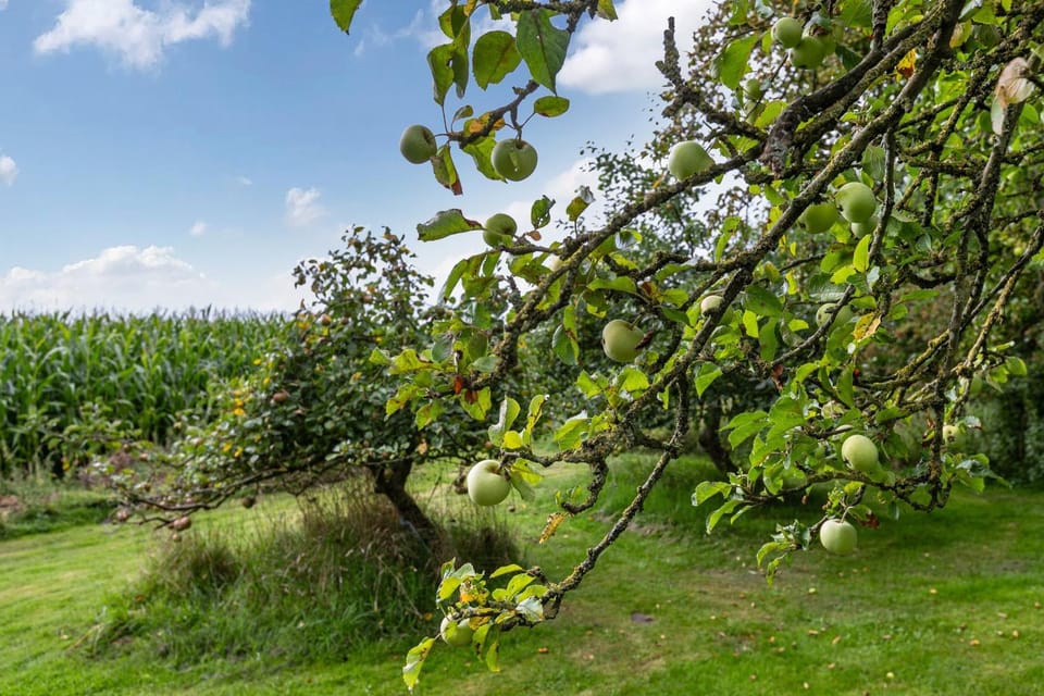 Thormählenhof Apartment in Nordstrand