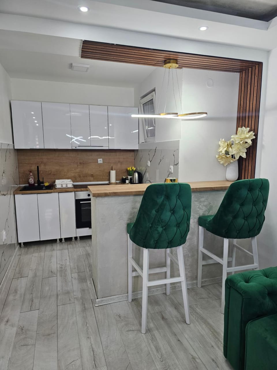 Centar Apartment in Novi Sad