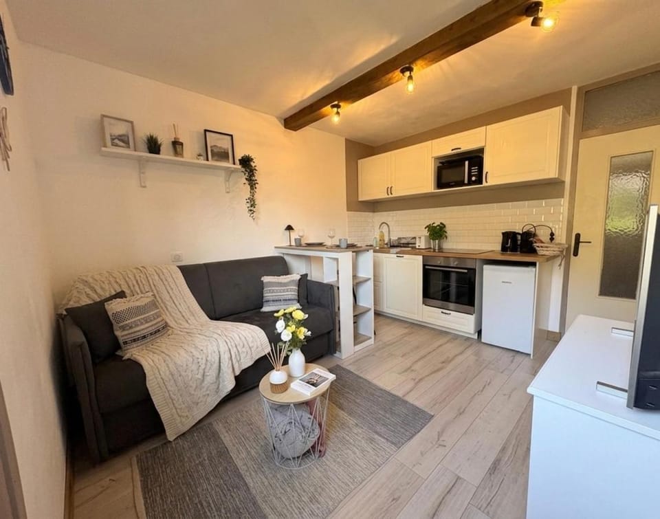 Charmant appartement à Saint-Gervais-les-Bains, idéal pour vos vacances à la montagne Apartment in Saint-Gervais-Bains