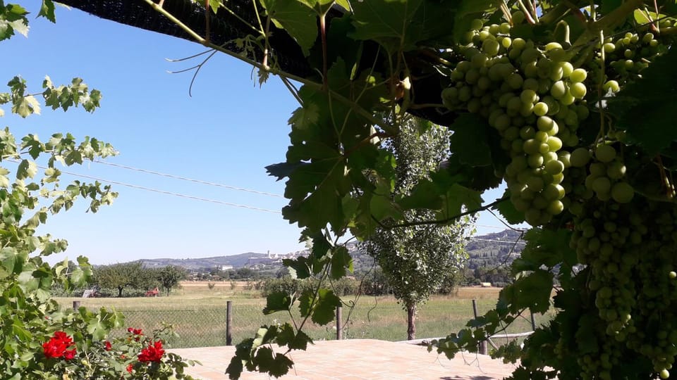 Sulla Strada di San Francesco Country House in Umbria