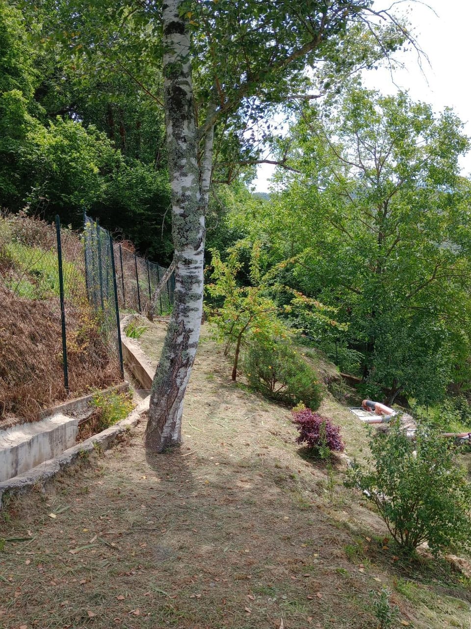 La roccia Apartment in Liguria