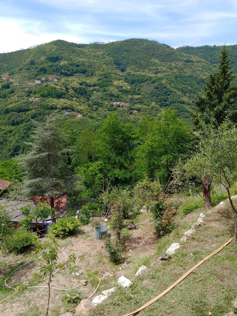 La roccia Apartment in Liguria