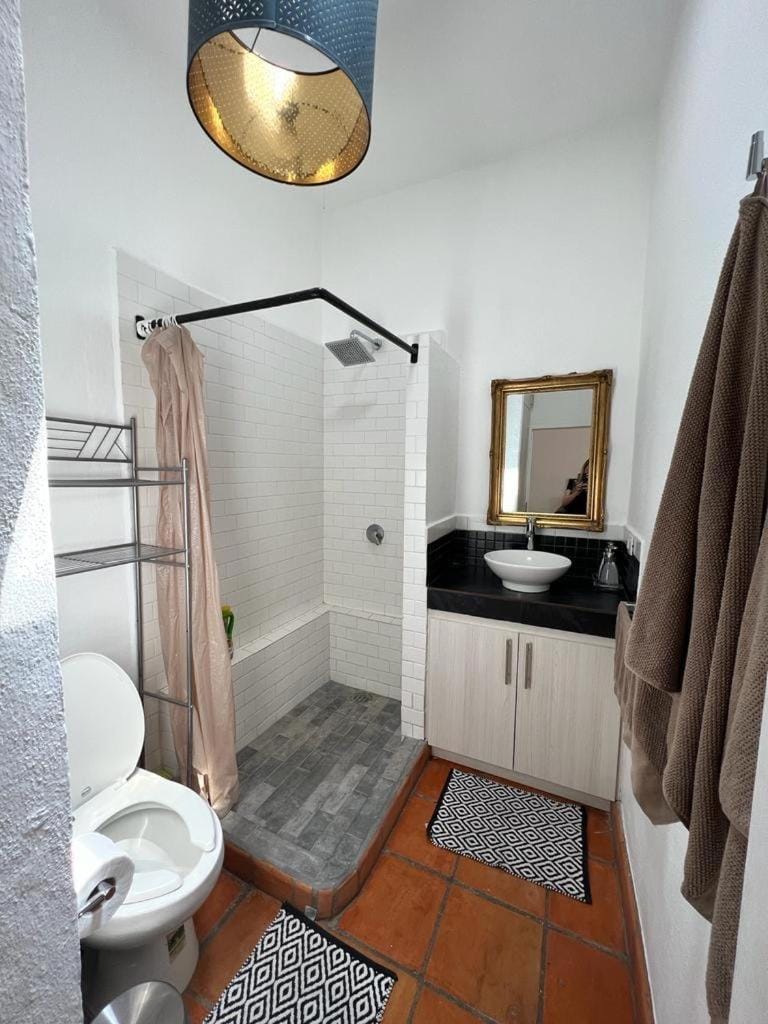 Chic 1 Bedroom Casita with Secret Garden Apartment in San Miguel de Allende
