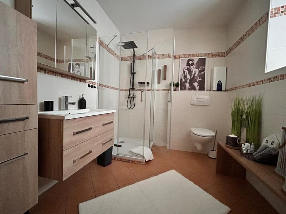 Shower, Toilet, Bathroom, towels