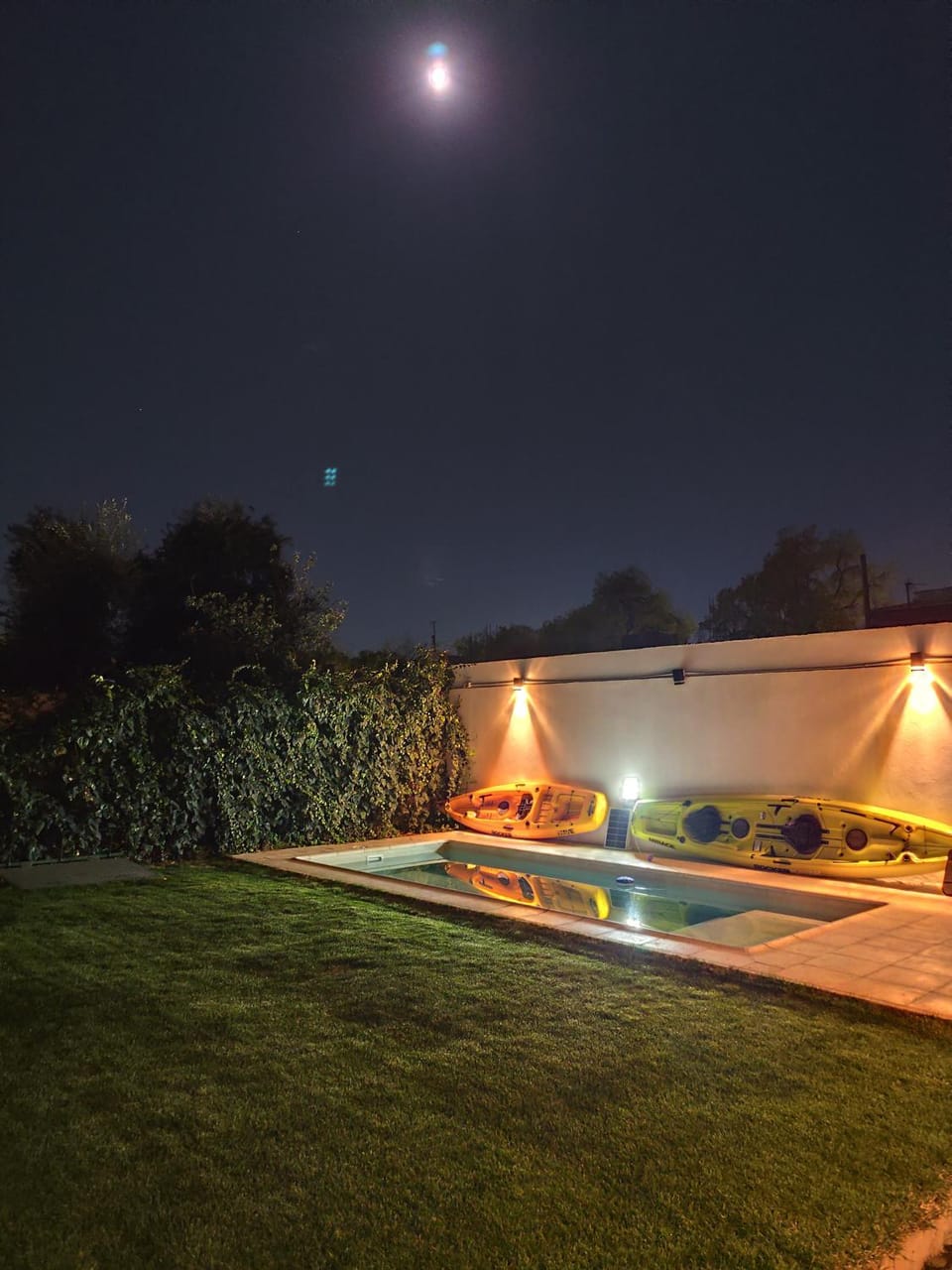 Night, Garden, Swimming pool