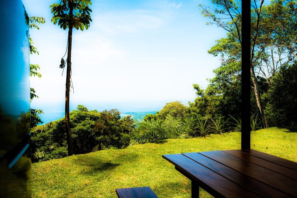 Natural landscape, Garden, Garden view, Sea view