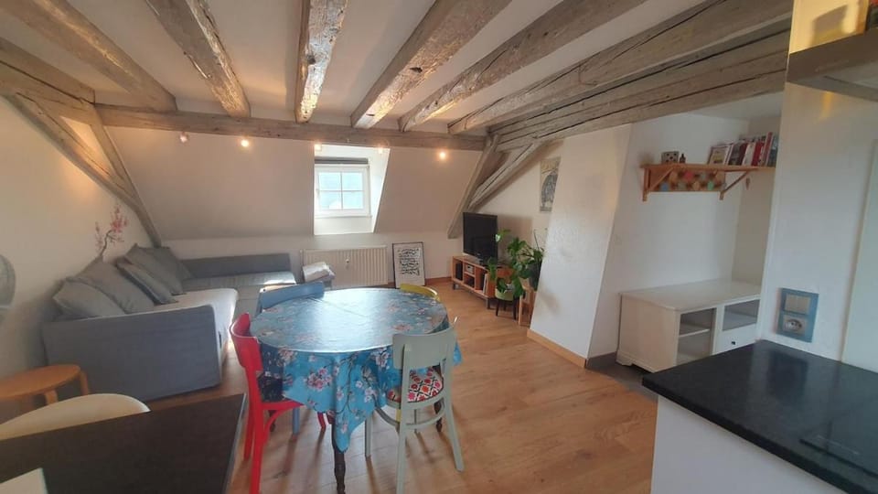 Mon Ptit Nid T3 Duplex au coeur de la Krutenau Apartment in Strasbourg
