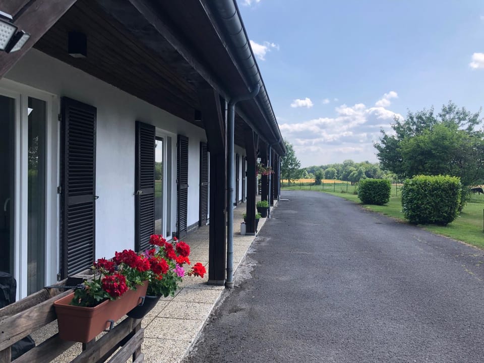 La Chouette du Freyr 3 chambres House in Dinant