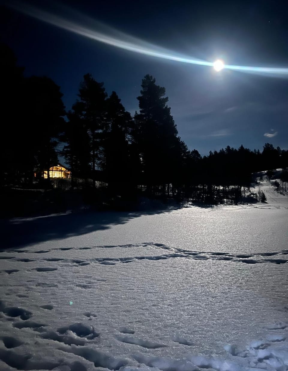 Large and beautiful cabin Cabin in Trondelag