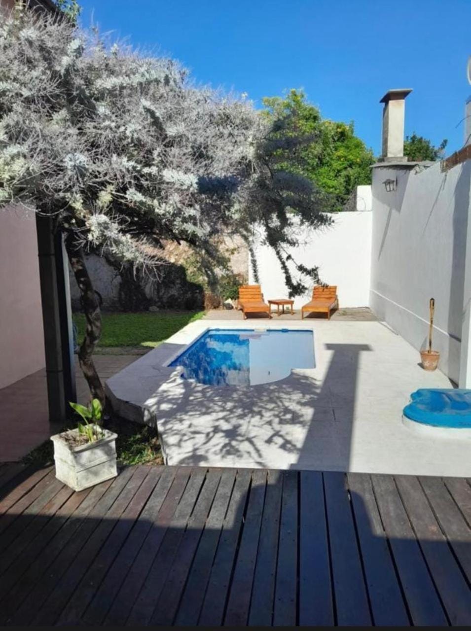 Day, Natural landscape, Garden