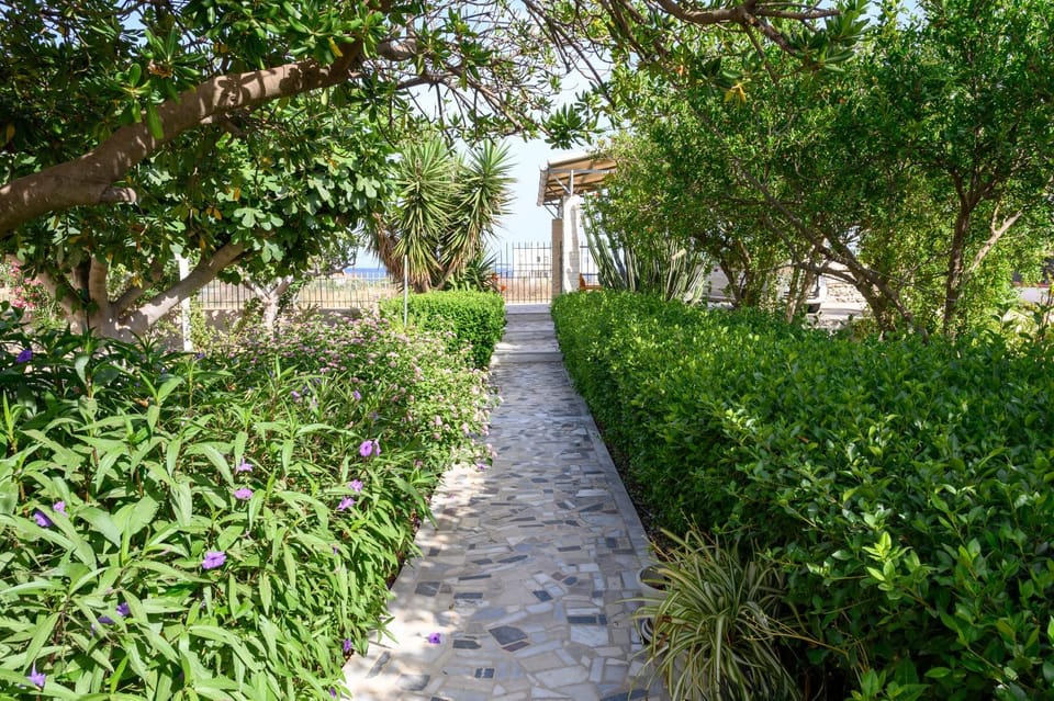 Property building, Sea view, Area and facilities, Area and facilities