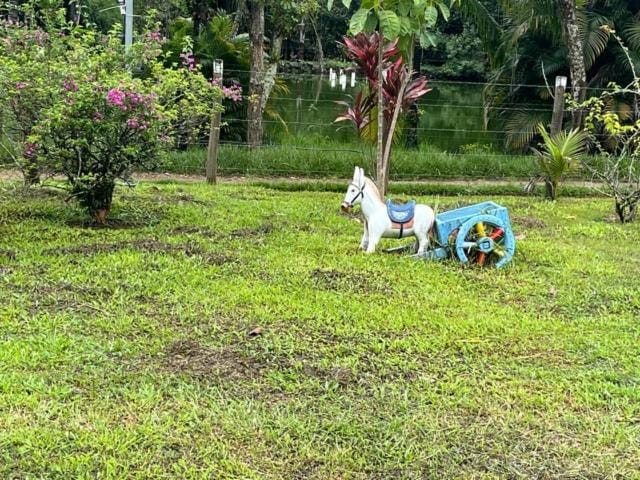 Chácara Belas Águas House in Cachoeiras de Macacu